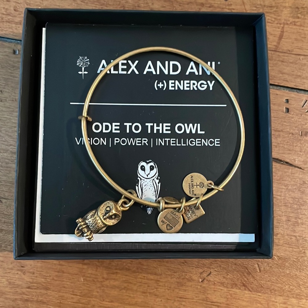 Alex and Ani Ode To The Owl Bracelet